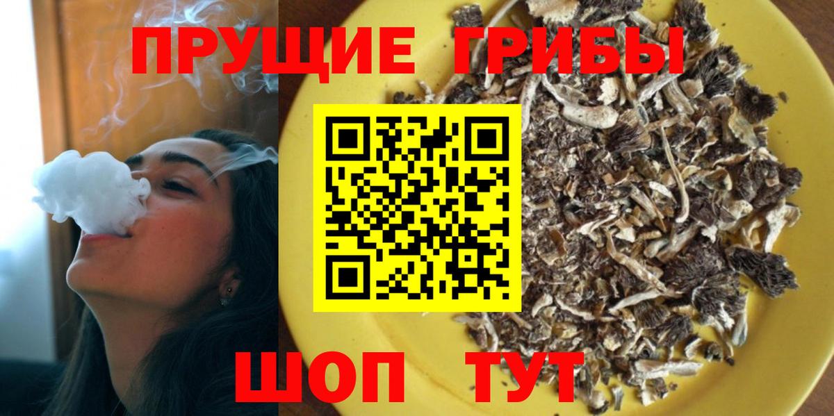 Псилоцибиновые грибы Psilocybe  Вход с VPN  Тара 